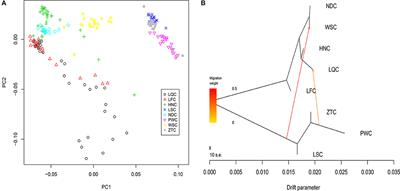 Discovery of Genomic Characteristics and Selection Signatures in Southern Chinese Local Cattle